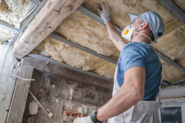 Professional Insulation Contractor in Coldwater, MI