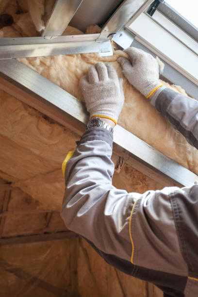 Best Fiberglass Insulation  in Coldwater, MI